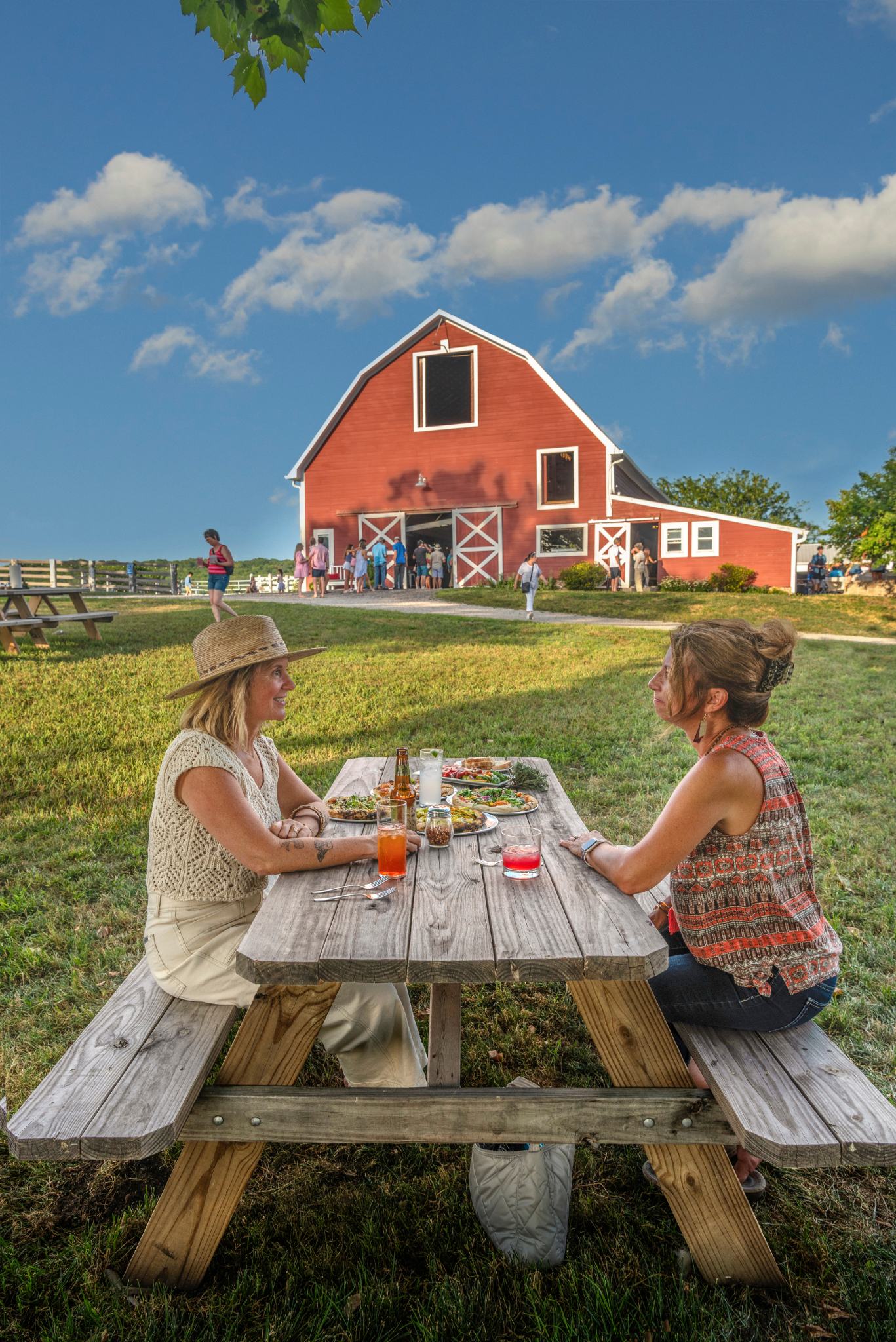 Farm Campaign